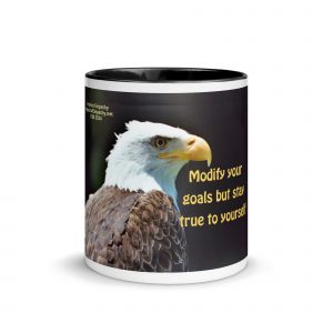 Modify your goals but stay true to yourself mug
