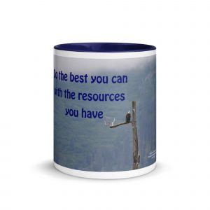 Do the best you can with the resources you have mug