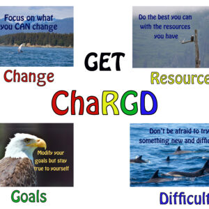 Poster: Get ChaRGD!